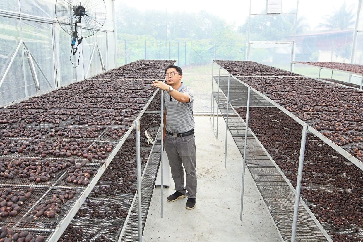 Coffee Quality Checking