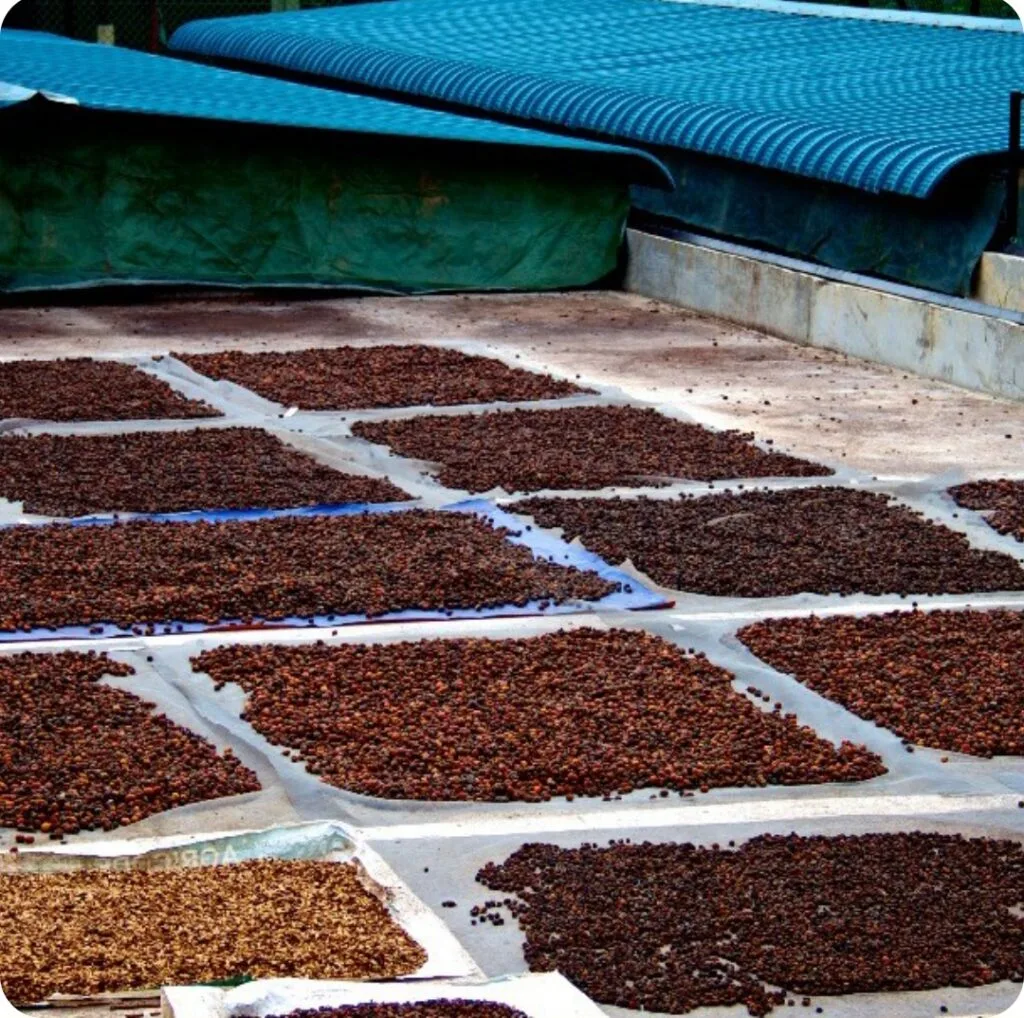 Screenshot 20220610 095606