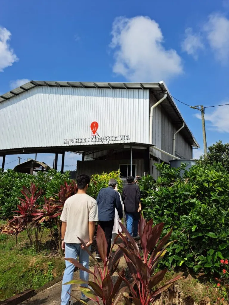 MY LIBERICA Processing Mill